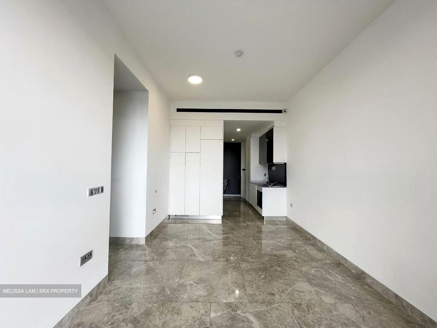 Martin Modern (D9), Condominium #496274031